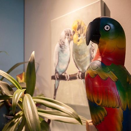 Apartament U Olechny 5 Bydgoszcz Kültér fotó
