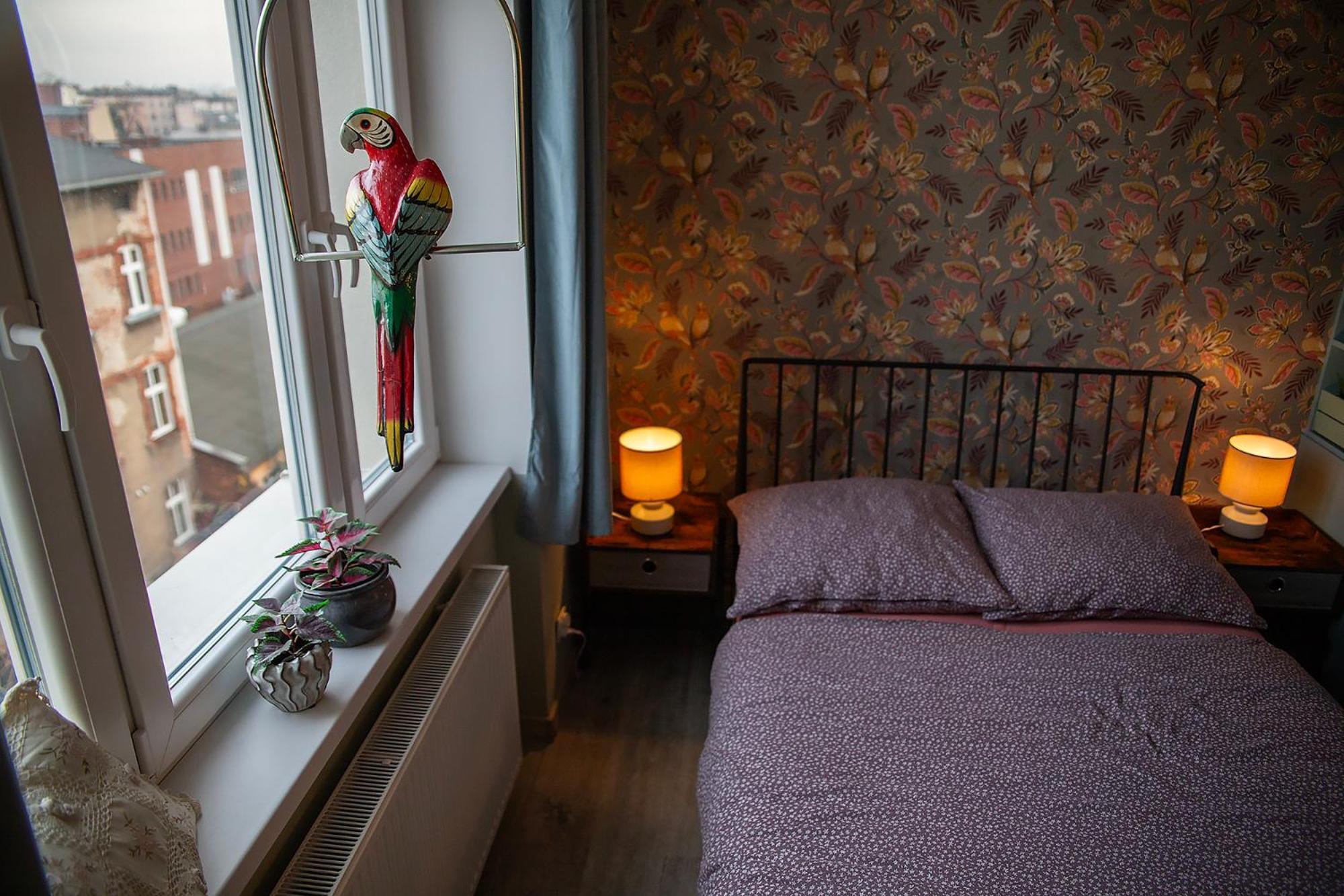Apartament U Olechny 5 Bydgoszcz Kültér fotó
