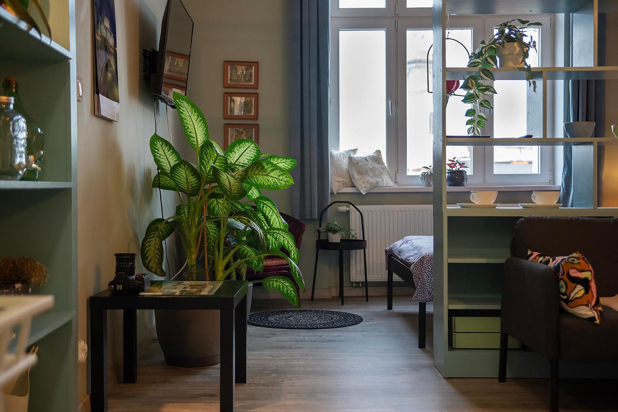 Apartament U Olechny 5 Bydgoszcz Kültér fotó